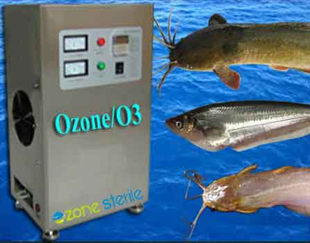 مزایای تزریق گاز ازن در استخرهای پرورش ماهی